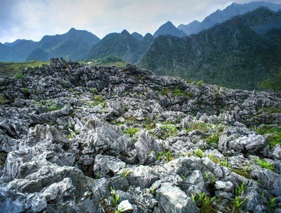 Cao Nguyên Đá Tour